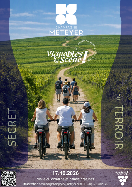 Vignobles en Sc�ne