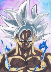 Champagne METEYER Père & Fils - Champagne METEYER Père & Fils -