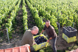 Champagne METEYER Pre & Fils - Chargement.