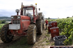 Champagne METEYER Pre & Fils - Transport.