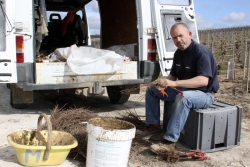 Champagne METEYER Pre & Fils - Prparation  la plantation.