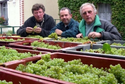 Champagne METEYER Pre & Fils - Famille Mtyer.