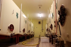 Champagne METEYER Pre & Fils - Cuverie.