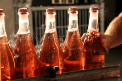 Champagne METEYER Pre & Fils - 