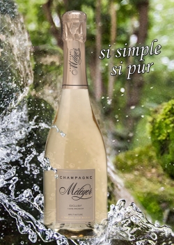 Champagne METEYER Pre & Fils - Excluisf