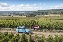 Champagne METEYER Pre & Fils - 