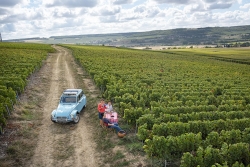 Champagne METEYER Pre & Fils - 