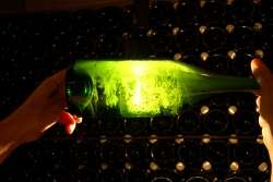 Champagne METEYER Pre & Fils - 