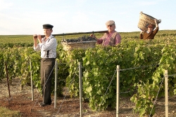 Champagne METEYER Père & Fils - Fizyczna praca Champagne METEYER Père & Fils - Fizyczna praca