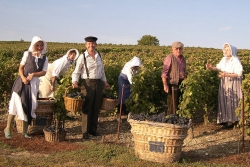 Champagne METEYER Père & Fils - Kostiumy tradycyjne. Champagne METEYER Père & Fils - Kostiumy tradycyjne.