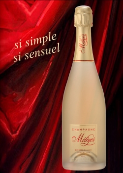 Champagne METEYER Pre & Fils - Expression Noir