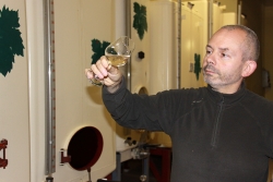 Champagne METEYER Pre & Fils - 