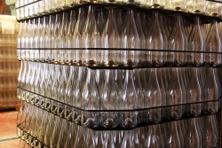 Champagne METEYER Pre & Fils - 