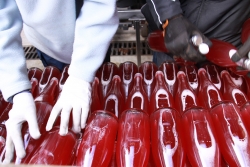 Champagne METEYER Pre & Fils - 