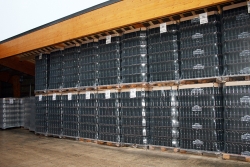 Champagne METEYER Pre & Fils - 