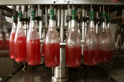 Champagne METEYER Pre & Fils - 