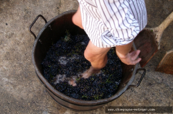 Champagne METEYER Pre & Fils - Traditional pressing