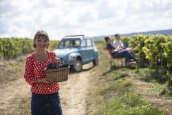 Champagne METEYER Pre & Fils - 