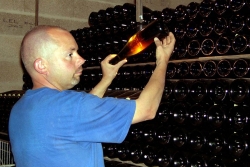 Champagne METEYER Pre & Fils - 