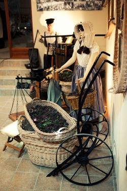 Champagne METEYER Pre & Fils - 