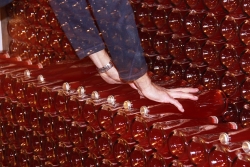 Champagne METEYER Pre & Fils - 