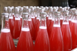 Champagne METEYER Pre & Fils - 