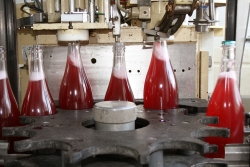 Champagne METEYER Pre & Fils - 