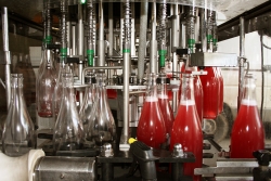 Champagne METEYER Pre & Fils - Bottling.