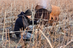 Champagne METEYER Pre & Fils - Pruning.