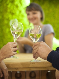 Champagne METEYER Père & Fils -  Champagne METEYER Père & Fils -